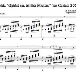 Aria, &ldquo;Weichet nur, betr&uuml;bte Schatten,&rdquo; from Cantata 202