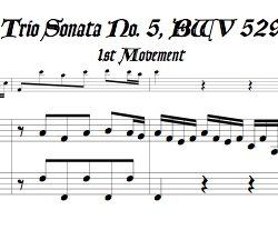 Trio Sonata No. 5, BWV 529