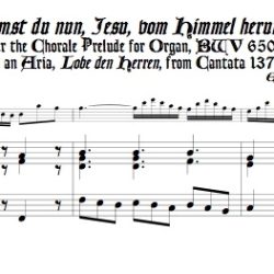 Chorale Prélude, <i>Kommst du nun, Jesu, vom Himmel herunter</i>, BWV 650