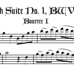 Solo Recorder Parts from the English Suites, Goldberg Variations, Misc. Keyboard, and Art of Fugue sections (not necessary if you get the versions with keyboard)