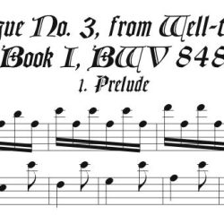 Solo recorder parts for all music in the Well-tempered Clavier and Keyboard Partita categories. (Not necessary if you get the versions with keyboard.)