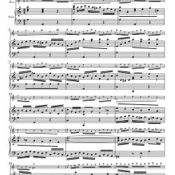Opening Chorus, “Alles nur nach Gottes Willen,” from Cantata 72