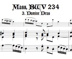 Aria, &ldquo;Domine Deus&rdquo; from Missa Brevis, BWV 234 for alto recorder doubling soprano or tenor