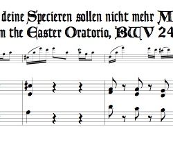 Aria, &ldquo;Seele, deine Specereien sollen nicht mehr Myrrhen sein&rdquo;, from the Easter Oratorio, BWV 249