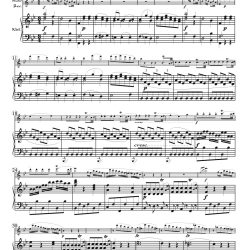 MozartK302-305