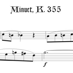 Solo recorder parts from middle & late Mozart, Beethoven, Vorisek, Rossini & Schubert (not necessary if you get the versions with keyboard.)