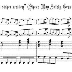 Aria, &ldquo;Schafe k&ouml;nnen sicher weiden&rdquo; (Sheep May Safely Graze) from Cantata 208, arr. for two soprano recorders & keyboard