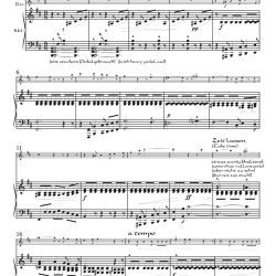 “Ich hab' ein glühend Messer” from <i>Lieder eines fahrenden Gesellen</i>