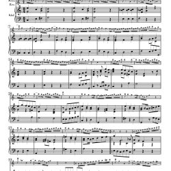 Opening Aria from Cantata TWV 1: 730, <i>Hemmet den Eifer, verbannet die Rache</i>