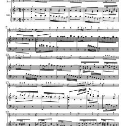 Duet, “Wie will ich mich freuen,”